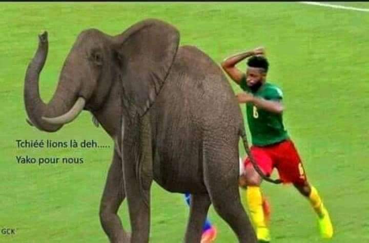 ele